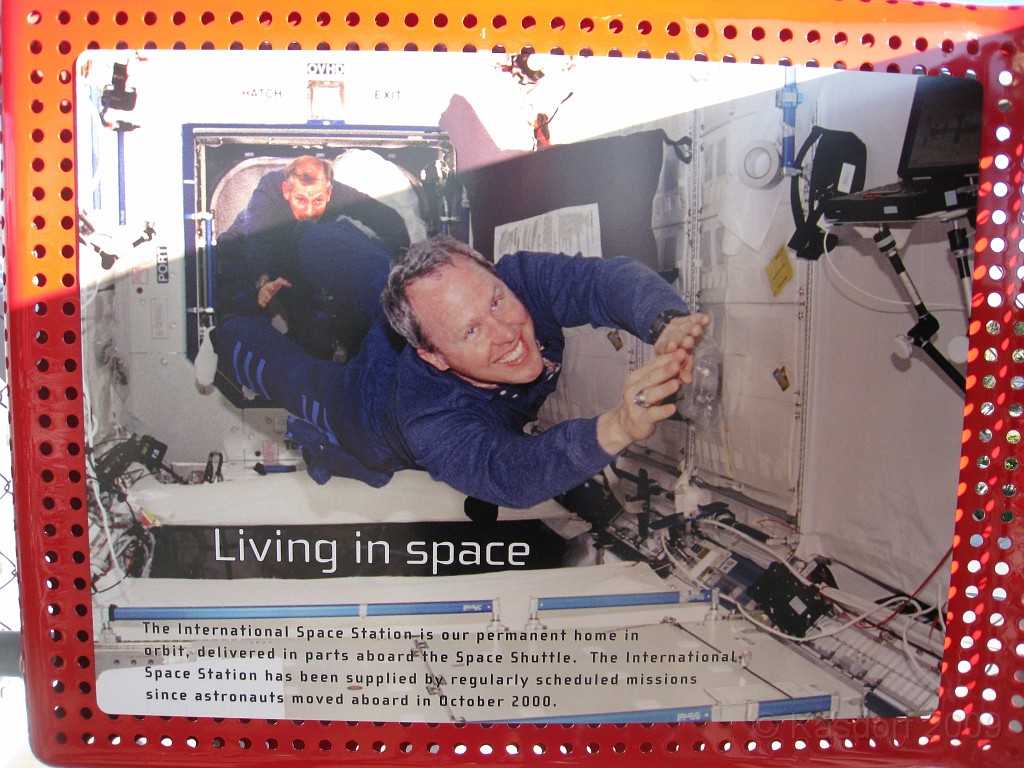 Disney 2010 D2 0800.jpg - January 9-11, 2010 Disney World Florida. Went to run the marathon. Sunday 5:40 AM start the race! Finish, go take a hot shower! Paul drove us over to Kennedy Space Center. Then buffet at Animal Kingdom for dinner!